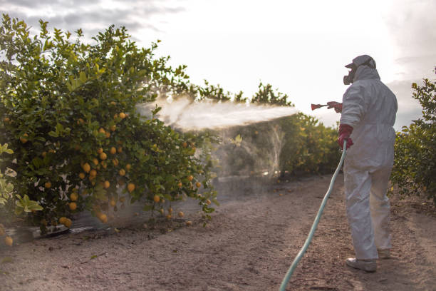 Wildlife Control Services in University At Buffalo, NY