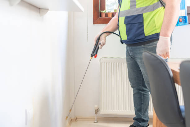 Wasp Removal Services in University At Buffalo, NY