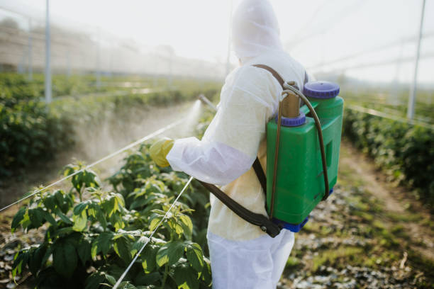 Best Local Pest Control Services  in University At Buffalo, NY